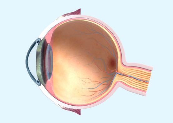 virtual eye